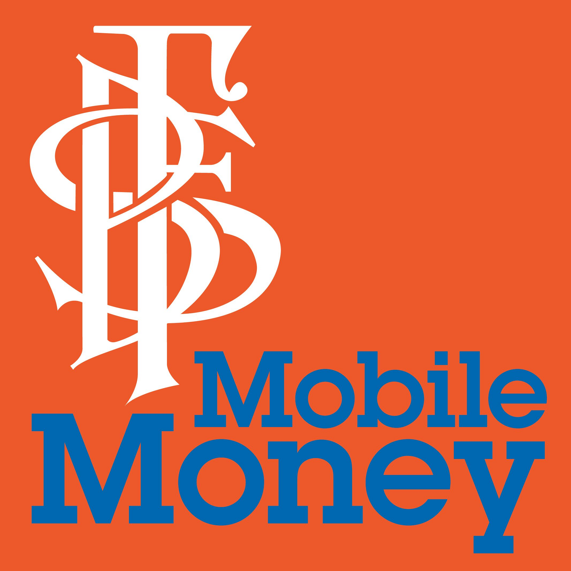 Mobile Money App Icon